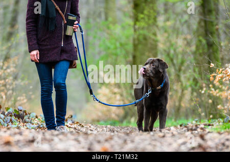 Hannover, Deutschland. 26 Mär, 2019. Eine Frau geht für einen Spaziergang mit ihrem Hund Cajus, einem 9 Jahre alten Labrador Retriever. Ab 01.04.2019 Hunde müssen an die Leine an vielen Orten in Niedersachsen gehalten werden. Während der sogenannten Brut- und Setzzeit, die Vierbeiner dürfen nicht frei laufen etwa in Wald und Feld - Pfade. Credit: Christophe Kirschtorte/dpa/Alamy leben Nachrichten Stockfoto