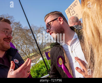 Westminster, London, Großbritannien. 29. März 2019, dem Tag, an dem das Vereinigte Königreich durch die EU, die UKIP Flags zu verlassen und Unterstützer Zusammenbau auf College Green als Parlament erörtert die Rücknahme. Credit: Scott Hortop/Alamy Leben Nachrichten. Stockfoto