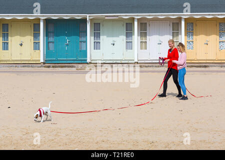 Bournemouth, Dorset, Großbritannien. 30 Mär, 2019. UK Wetter: Diesig morgen Sonnenschein und kühler von spät, aber noch lange nicht beendet, Besucher in Richtung Meer an Alum Chine. Credit: Carolyn Jenkins/Alamy leben Nachrichten Stockfoto