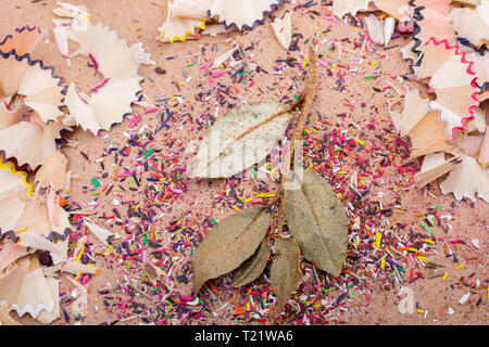 Trockene Blätter inmitten Farbe Bleistift rasieren Stockfoto