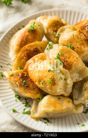 Hausgemachte Fried Pierogis polnische Kartoffel mit Sour Cream Stockfoto