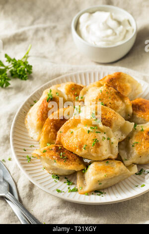 Hausgemachte Fried Pierogis polnische Kartoffel mit Sour Cream Stockfoto