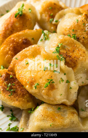 Hausgemachte Fried Pierogis polnische Kartoffel mit Sour Cream Stockfoto