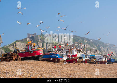 Hastings, East Sussex, Großbritannien. Möwen wirbeln um die Fischerboote von Hastings in der Altstadt von Stade, Fischerstrand, East Sussex, Großbritannien Stockfoto