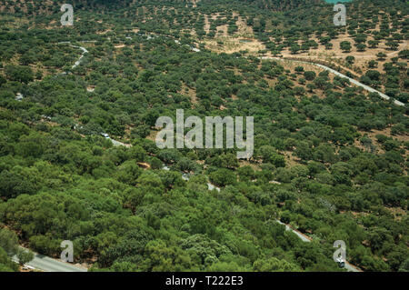 Road vorbei durch die Hügel von Bäumen an der Monfrague Nationalpark bedeckt. Ein bemerkenswerter Ort mit einem reizvollen Bergrücken in Spanien. Stockfoto