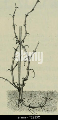 Archiv Bild von Seite 48 der Sterben Veredelungen und your Aluminiu Stockfoto