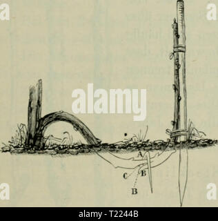 Archiv Bild von Seite 50 Sterben Veredelungen und your Aluminiu Stockfoto