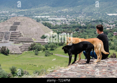 Hunde in Teotihuacan Pyramiden Stockfoto