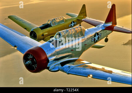 North American Aviation T-6 Texan militärische Ausbildung Flugzeuge Stockfoto