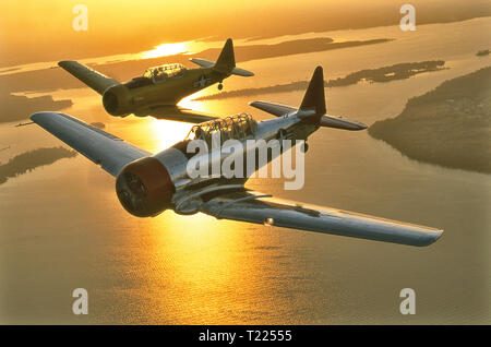 North American Aviation T-6 Texan militärische Ausbildung Flugzeuge Stockfoto