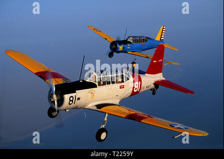 vibrator im flugzeug Flugzeug-Saugbecher mit 10-Frequenz-Vibration – Lurevibe main image 1