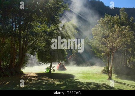 Morgennebel am Camping Rio Gonzalez, pumalin Nationalpark, Patagonien, Region de los Lagos, Chile Stockfoto