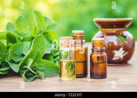 Die Minze in ein kleines Glas zu extrahieren. Selektive konzentrieren. Natur. Stockfoto