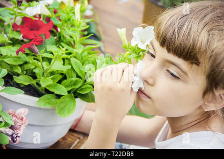 Ein kleines Mädchen ist Blumen pflanzen. Der junge Gärtner. Selektive konzentrieren. Stockfoto