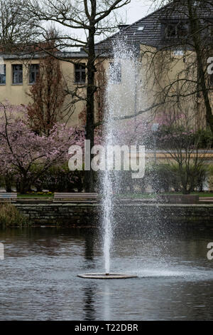 Freizeit Park mit Springbrunnen. Stadt Hintergrund und blühende Frühling Bäume Stockfoto