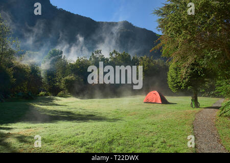 Morgennebel am Camping Rio Gonzalez, pumalin Nationalpark, Patagonien, Region de los Lagos, Chile Stockfoto