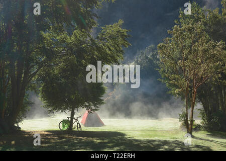 Morgennebel am Camping Rio Gonzalez, pumalin Nationalpark, Patagonien, Region de los Lagos, Chile Stockfoto