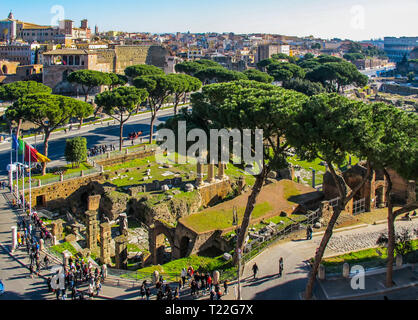 Luftbild des Römischen historischen Gebäuden, alten Ruinen, Kolosseum und die Kaiserforen Straße (Via dei Fori Imperiali). Schöne italienische Pinien Stockfoto