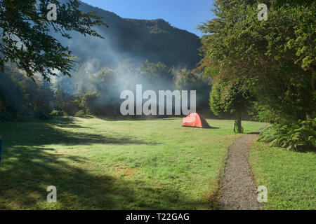 Morgennebel am Camping Rio Gonzalez, pumalin Nationalpark, Patagonien, Region de los Lagos, Chile Stockfoto