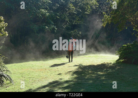 Morgennebel am Camping Rio Gonzalez, pumalin Nationalpark, Patagonien, Region de los Lagos, Chile Stockfoto