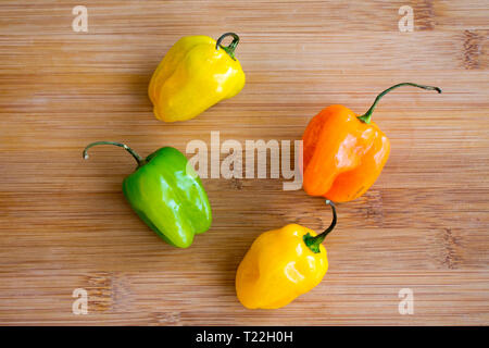 Scotch Bonnet Peppers Stockfoto