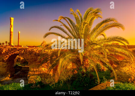 Sonnenuntergang in Karthago. Thermen des Antonius in Karthago, in der Nähe von Tunis, Tunesien Stockfoto