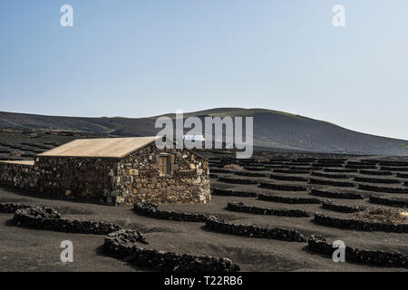 Spanien, Kanarische Inseln, Lanzarote, La Geria, Blick auf die weingegend Stockfoto