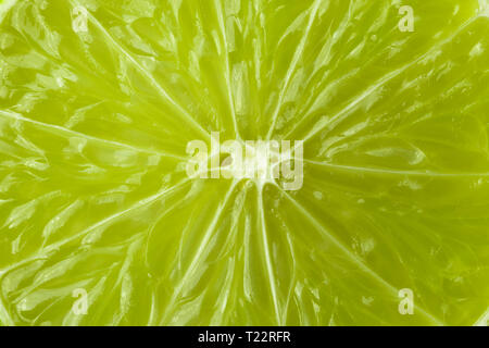 Ein Stück Kalk ist eine große Arten. Makro. Hintergrund. Stockfoto