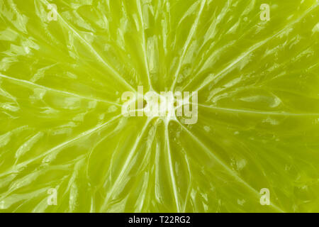 Ein Stück Kalk ist eine große Arten. Makro. Hintergrund. Stockfoto