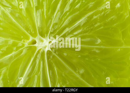 Ein Stück Kalk ist eine große Arten. Makro. Hintergrund. Stockfoto