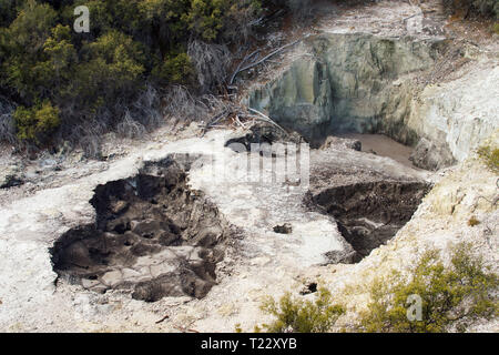 Neuseeland Rotorua Wai-O-Tapu Stockfoto