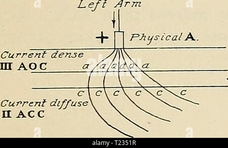 Archiv Bild ab Seite 136 von Richtungen, die für die Arbeit im Labor in Richtungen für die Arbeit im Labor in der Physiologie für die Verwendung von Medizinstudenten directionsforlab 00 lomb Jahr: 1914 REAKTION DER MENSCHLICHEN NERVEN ZU GLEICHSTROM. 107 Schlüssel und sagt "Öffnen". Experimentator milam beachten müssen, verlassen Thema Auswirkungen zu berichten. Wenn die aktuelle erlaubt ist zu lang zu fließen", es gibt Änderungen der Reizbarkeit, die den Wert der Ergebnisse zu zerstören. Vorauszahlung Schieberegler wieder und wieder anzuregen. Weiter so, die versuchen, die zuletzt aktuelle, dass die Effekte, die in der Tabelle genannten geben wird, zu finden. Natürlich ist die Stockfoto