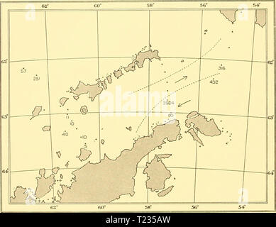 Archiv Bild ab Seite 141 der Entdeckung berichten (1934) Entdeckung berichten discoveryreports 08 inst Jahr: 1934 132 Entdeckung berichten Arten innerhalb der Eddy von Weddellmeer Oberflächenwasser. Am westlichen Ende der Straße sowohl Coret/iroti und Rhizosolenia vergleichsweise spärlich waren. Die Verteilung von thalassiosira Antarktis ist in Abb. 1 gezeigt. 68. Diese Arten zeigten eine sehr starke maximal im Weddellmeer Eddy, und wurde an anderer Stelle am zahlreichsten im äußersten Nordosten, wie man erwarten würde, wenn der Überrest der Feder erhöhen in der Meerenge in der Tat hatte driftete in diese Richtung. Die distrib Stockfoto