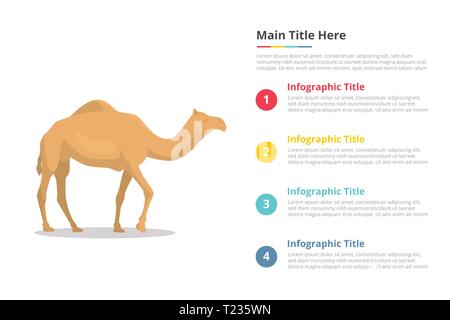 Kamel Infografiken Vorlage mit 4 Punkten freien Raum text Beschreibung - Vektor Stock Vektor