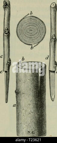 Archiv Bild ab Seite 200 von Die Veredelungen und your Aluminiu Stockfoto