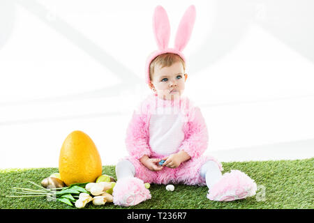 Adorable Zicklein in Funny Bunny Kostüm in der Nähe der bunten Hühnereiern, Tulpen und gelbe Straußenei isoliert auf weißem Sitzen Stockfoto