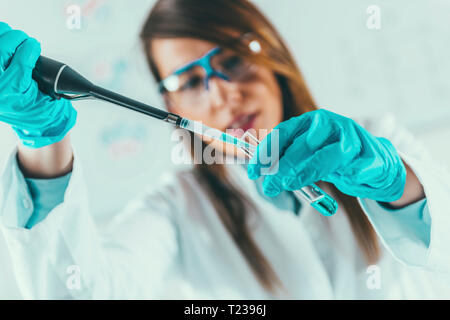 Labortechniker mit Pipette. Stockfoto