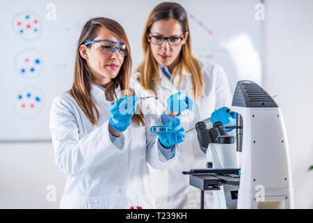 Schülerinnen forschen Proben im Labor. Stockfoto