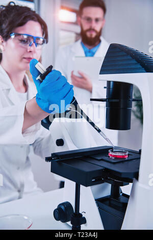 Junge weibliche Wissenschaftler tun Test im Labor, in der männliche Wissenschaftler Notizen. Stockfoto