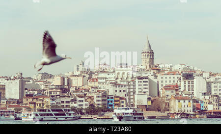Blick auf Istanbul mit Galata Turm am Skyline von Eminönü. Möwe über das Goldene Horn im Vordergrund fliegen. Stockfoto