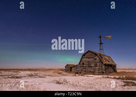 Nordlichter über vintage Scheune, Behälter und Windmühle in Saskatchewan Stockfoto