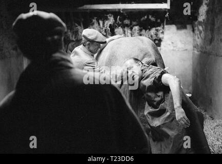 Alle Kreaturen, die Großen und die Kleinen (1975) Datum: 1975 Stockfoto