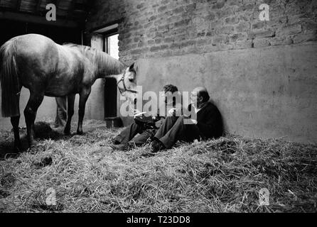 Alle Kreaturen, die Großen und die Kleinen (1975) Datum: 1975 Stockfoto