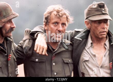 Das Eiserne Kreuz (1977) James Coburn, Vadim Glowna, Datum: 1977 Stockfoto