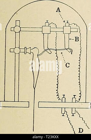 Archiv Bild ab Seite 106 von Richtungen, die für die Arbeit im Labor in Richtungen für die Arbeit im Labor in der Physiologie directionsforlab 1906 lomb Jahr: 1906 Polarisierung der Elektroden. 83 Glasstab; und den Stab mit einer Zange an der Unterstützung, die den Muskel Klammer, in der feuchten Kammer hält. Trocknen Sie die Drähte wie Elektroden verwendet, und schließen Sie sie an die zincs; mit Tropfer, etwa einem halben Kubikzentimeter von Zink Sul - phate in die Stiefel, dabei darauf achten, nicht zu verschütten, der Elektroden. Dann legen Sie die zincs in den Wipfeln der Stiefel. Experiment - die Nervenzellen in der Spitze festsetzen Stockfoto