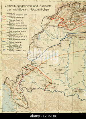 Archiv Bild ab Seite 183 der Verbreitung der forstlich wichtigen Verbreitung der forstlich wichtigen Bäume und Sträucher um ungarischen Staate dieverbreitungde 1913 feke Jahr sterben sterben: 1913 Fekete-Blattny; Verbreitung der Sterben - Forstlich wichtigen Bäume und Sträucher im ungarischen Staate. Verbreitungsgrenzen und Fundorte der wichtigeren Holzgewächse.   , Nordgrenze von Quercus lanuginosa Lam/**S Arealgpenze .* I> Quercus conferta Kit. 1 Cenris Nordgrenzo von Quercus L.""" NO-Grenze von Castanea sativa Mill.  .  Nordgi • Carpinus duinensis Scop.    NO-Grenze von, Ostrya carpinifoli Stockfoto