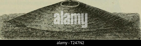 Archiv Bild ab Seite 330 von Die Veredelungen und your Aluminiu Stockfoto