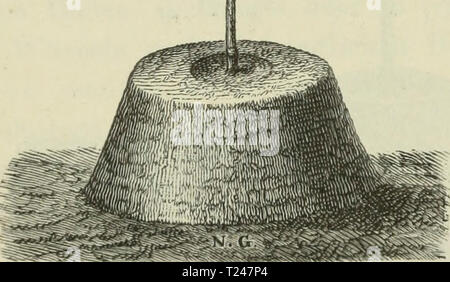 Archiv Bild ab Seite 331 von Die Veredelungen und your Aluminiu Stockfoto