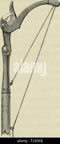 Archiv Bild ab Seite 433 von Die Veredelungen und your Aluminiu Stockfoto