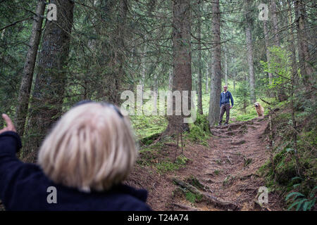 Österreich, Tirol, Kaisergebirge, Mutter und erwachsener Sohn mit Hund Wandern im Wald Stockfoto